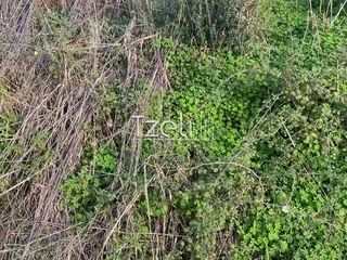 Οικόπεδο 1.220 τ.μ. για πώληση, Αχαΐα, Πάτρα-thumb-10