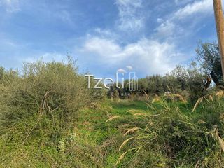 Οικόπεδο 1.220 τ.μ. για πώληση, Αχαΐα, Πάτρα-thumb-24