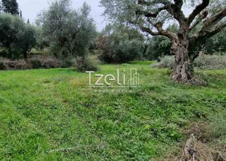 Οικόπεδο 3.000 τ.μ. για πώληση, Αχαΐα, Βραχναίικα-thumb-1