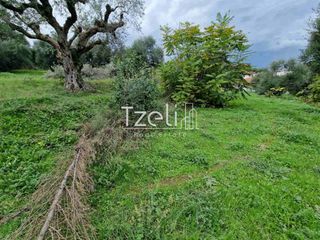 Οικόπεδο 3.000 τ.μ. για πώληση, Αχαΐα, Βραχναίικα-thumb-9