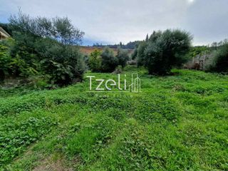 Οικόπεδο 3.000 τ.μ. για πώληση, Αχαΐα, Βραχναίικα-thumb-29