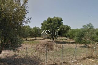 Αγροτεμάχια 807 τ.μ. για πώληση