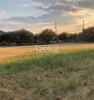 Land plot 1.550sqm for sale-Rio » Kato Arachovitika