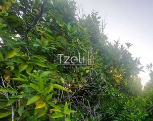 Οικόπεδο 6.041 τ.μ. για πώληση, Αχαΐα, Πάτρα-thumb-13