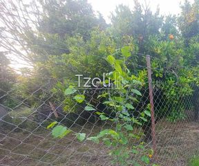 Οικόπεδο 6.041 τ.μ. για πώληση, Αχαΐα, Πάτρα-thumb-18