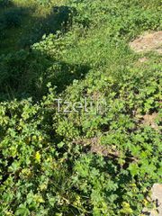 Οικόπεδο 6.041 τ.μ. για πώληση, Αχαΐα, Πάτρα-thumb-11