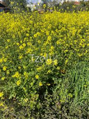 Οικόπεδο 6.041 τ.μ. για πώληση, Αχαΐα, Πάτρα-thumb-16