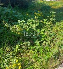 Οικόπεδο 6.041 τ.μ. για πώληση, Αχαΐα, Πάτρα-thumb-3
