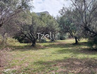 Οικόπεδο 2.520 τ.μ. για πώληση, Αχαΐα, Μεσσατίδα-thumb-24