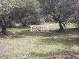 Οικόπεδο 2.520 τ.μ. για πώληση, Αχαΐα, Μεσσατίδα-thumb-2