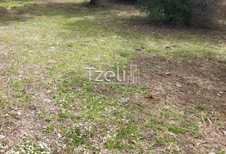 Οικόπεδο 2.520 τ.μ. για πώληση, Αχαΐα, Μεσσατίδα-thumb-20