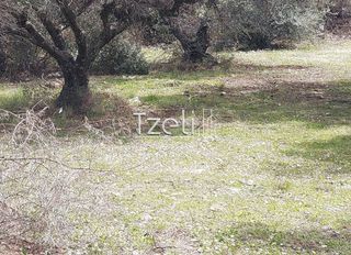 Οικόπεδο 2.520 τ.μ. για πώληση, Αχαΐα, Μεσσατίδα-thumb-28