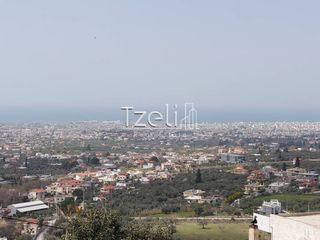 Οικόπεδο 2.520 τ.μ. για πώληση, Αχαΐα, Μεσσατίδα-thumb-3