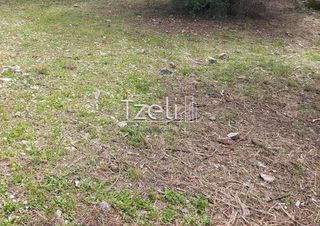 Οικόπεδο 1.200 τ.μ. για πώληση, Αχαΐα, Μεσσατίδα-thumb-23