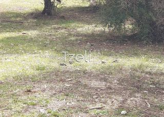 Οικόπεδο 1.200 τ.μ. για πώληση, Αχαΐα, Μεσσατίδα-thumb-25