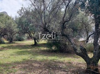 Οικόπεδο 1.200 τ.μ. για πώληση
