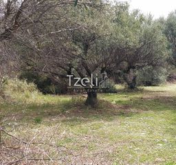 Οικόπεδο 1.200 τ.μ. για πώληση, Αχαΐα, Μεσσατίδα-thumb-19
