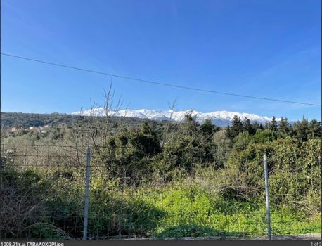 Οικόπεδο 765τ.μ. για πώληση-Βάμος » Γαβαλοχώρι