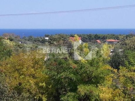 Μονοκατοικία 300τ.μ. για πώληση-Λιτόχωρο » Πλάκα