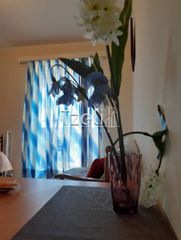 Studio / γκαρσονιέρα 31 τ.μ. για πώληση, Αχαΐα, Πάτρα-thumb-1