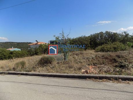 Οικόπεδο 438τ.μ. για πώληση-Λαμία » Σταυρός
