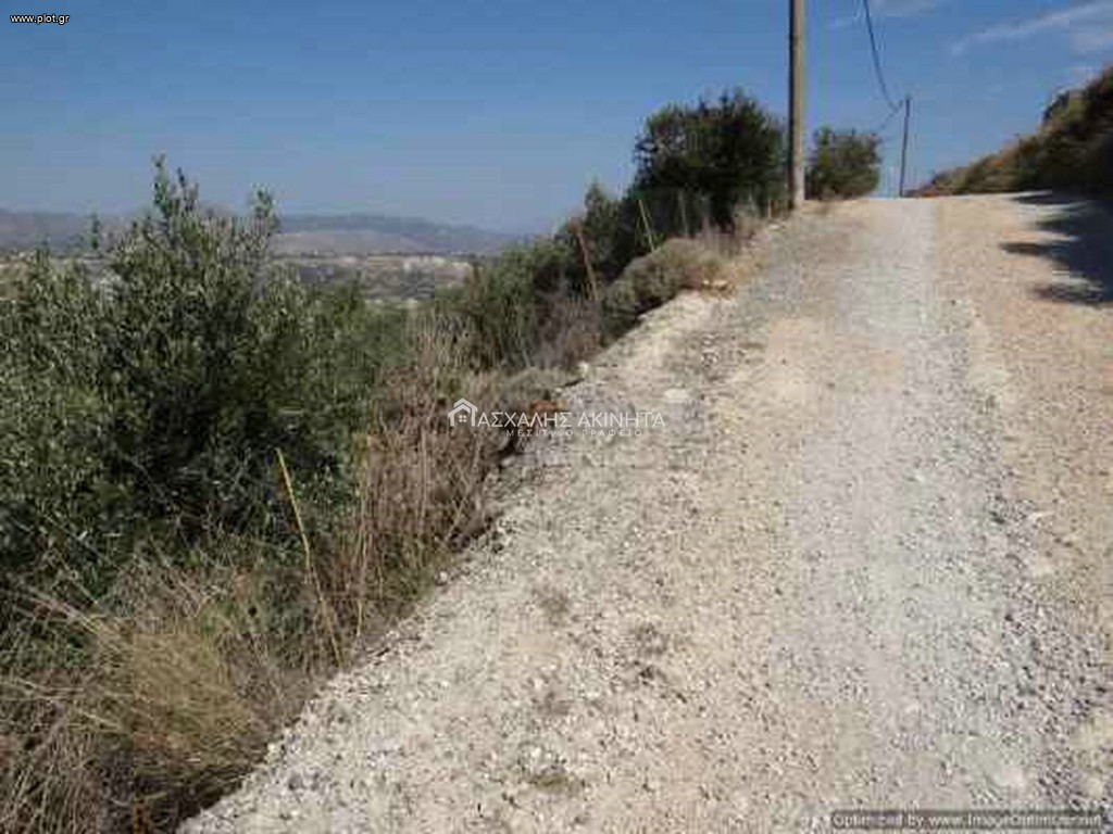 Οικόπεδο 1.012 τ.μ. προς πώληση, Βασιλείες