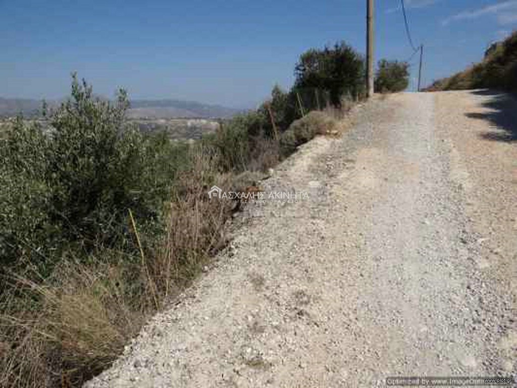 Οικόπεδο 1.012 τ.μ. προς πώληση, Βασιλείες