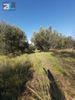 Land plot 1.486sqm for sale-Rio » Agios Vasileios