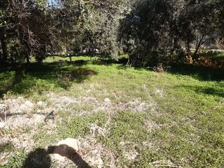 Αγροτεμάχια 1.200 τ.μ. προς πώληση, Επισκοπή Ιεράπετρας-thumb-2