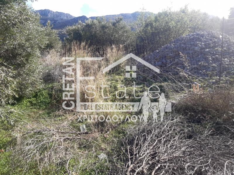 Αγροτεμάχια 1.200 τ.μ. προς πώληση, Κάτω Χωριό Ιεράπετρας