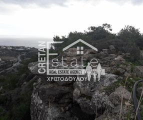 Αγροτεμάχια 8.500 τ.μ. για πώληση, Ν. Λασιθίου, Ιεράπετρα-thumb-15