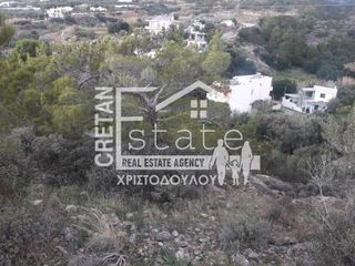 Αγροτεμάχια 8.500 τ.μ. για πώληση, Ν. Λασιθίου, Ιεράπετρα-thumb-5