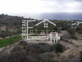Αγροτεμάχια 8.500 τ.μ. για πώληση, Ν. Λασιθίου, Ιεράπετρα-thumb-12