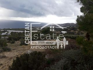 Αγροτεμάχια 8.500 τ.μ. για πώληση, Ν. Λασιθίου, Ιεράπετρα-thumb-16