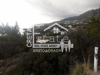 Αγροτεμάχια 8.500 τ.μ. για πώληση, Ν. Λασιθίου, Ιεράπετρα-thumb-3