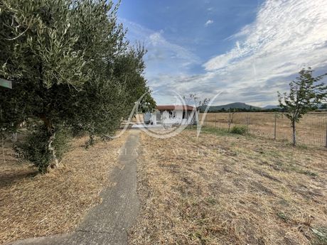 Detached home 180sqm for sale-Traianoupoli » Antheia