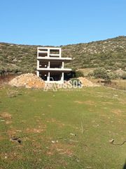 Κτίριο 315 τ.μ. για πώληση
