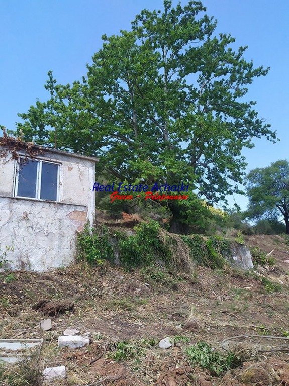Οικόπεδο 1.200 τ.μ. προς πώληση, Αχαΐα, Αίγιο