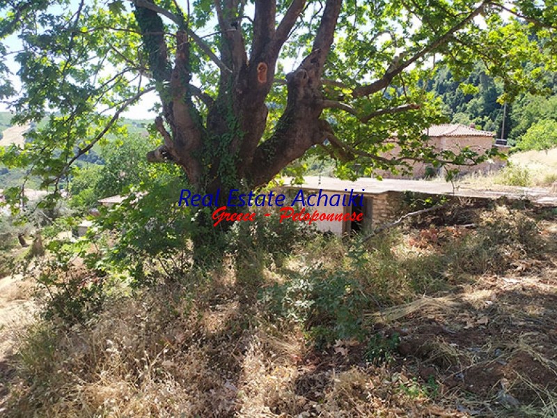 Οικόπεδο 1.200 τ.μ. προς πώληση, Αχαΐα, Αίγιο