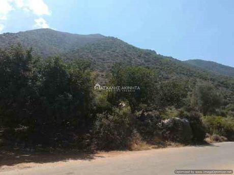 Οικόπεδο 25.000τ.μ. για πώληση-Γεροπόταμος » Βλυχάδα