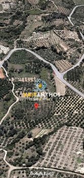 Οικόπεδο 5.500τ.μ. για πώληση-Αρκάδι » Έρφοι