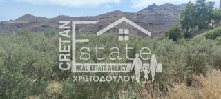 Οικόπεδο 2.626 τ.μ. για πώληση, Ν. Λασιθίου, Ιεράπετρα-thumb-6