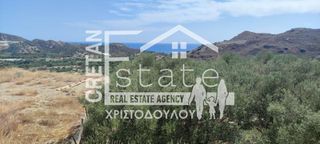 Οικόπεδο 2.626 τ.μ. για πώληση, Ν. Λασιθίου, Ιεράπετρα-thumb-5