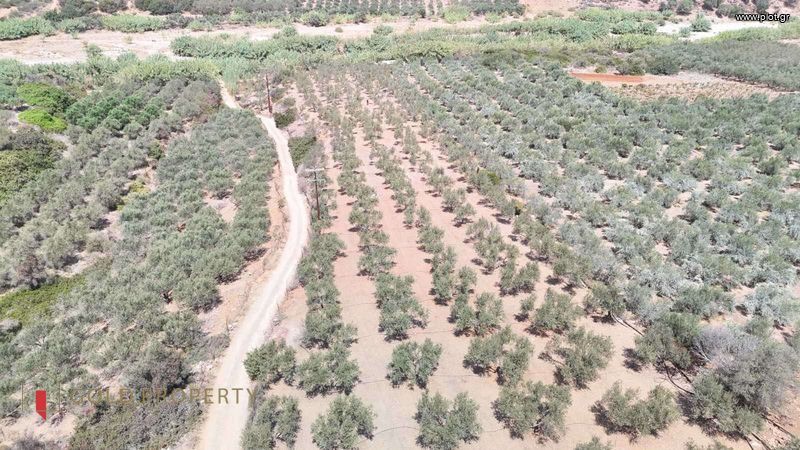 Αγροτεμάχια 8.000 τ.μ. πρός πώληση, Ν. Ρεθύμνου, Αρκάδι