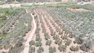 Αγροτεμάχια 8.000 τ.μ. για πώληση, Ν. Ρεθύμνου, Αρκάδι-thumb-2