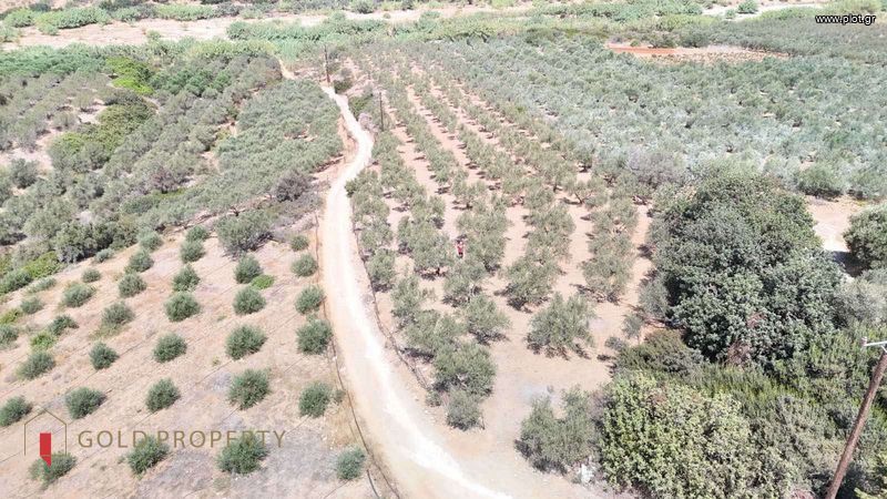 Αγροτεμάχια 8.000 τ.μ. πρός πώληση, Ν. Ρεθύμνου, Αρκάδι