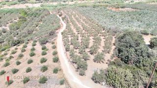 Αγροτεμάχια 8.000 τ.μ. για πώληση, Ν. Ρεθύμνου, Αρκάδι-thumb-3