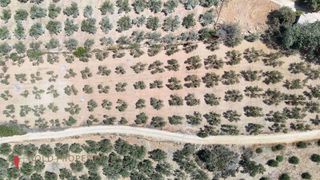 Αγροτεμάχια 8.000 τ.μ. για πώληση, Ν. Ρεθύμνου, Αρκάδι-thumb-4