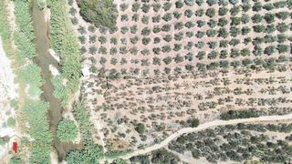 Αγροτεμάχια 8.000 τ.μ. για πώληση, Ν. Ρεθύμνου, Αρκάδι-thumb-5