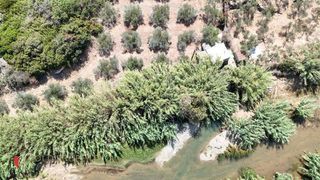 Αγροτεμάχια 8.000 τ.μ. για πώληση, Ν. Ρεθύμνου, Αρκάδι-thumb-6